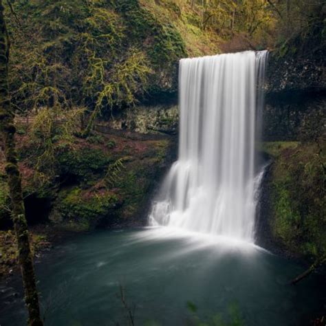 Silver Falls State Park | The Official Guide to Portland