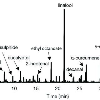 Representative Total Ion Chromatogram Of The Headspace Volatile