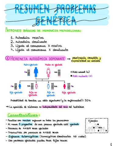 Resumen Problemas Genetica Pdf