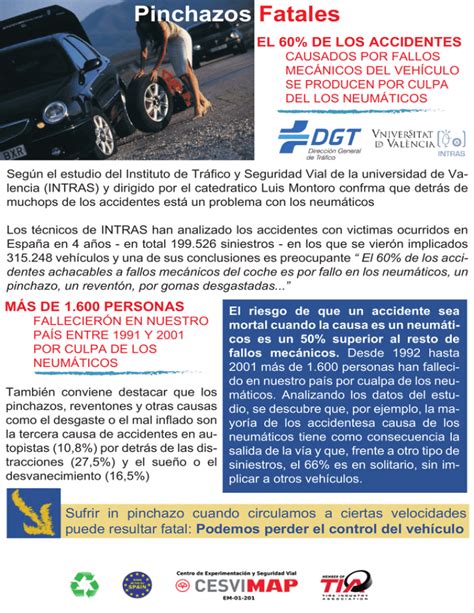 Informe De La DGT