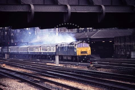 The Transport Treasury Class 52 Western GHT5636 UK BR Class 52