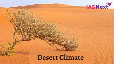 Desert Climate