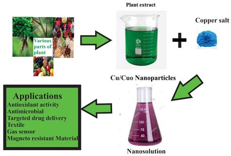 Coatings Free Full Text Green Synthesis Of Metal And Metal Oxide