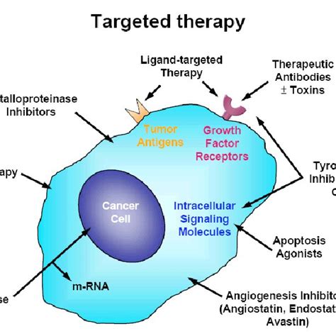 Pdf Targeted Therapy For Cancer