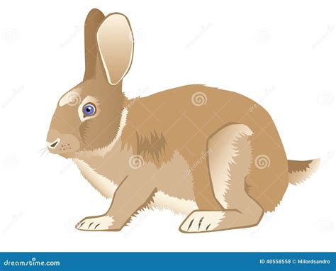 Brown Nice Hare Stock Vector Image 40558558