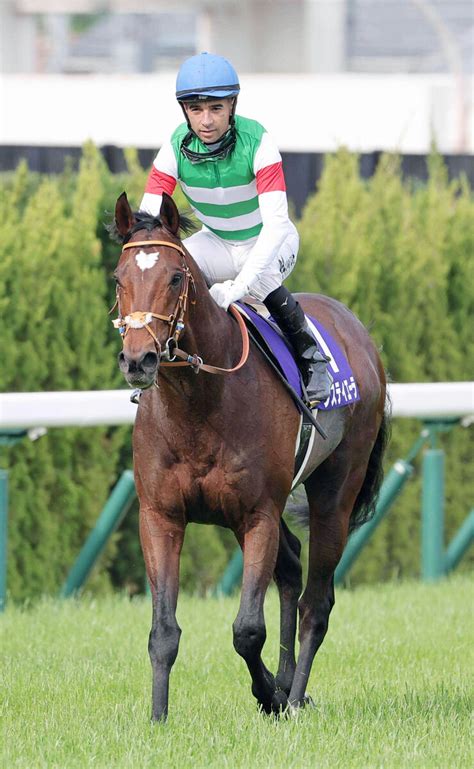 【注目馬動向】タスティエーラは松山騎手とコンビ復活で天皇賞・秋へ 写真1 Umatoku 馬トク