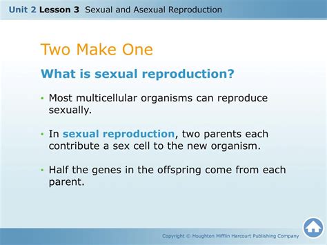 Unit 2 Lesson 3 Sexual And Asexual Reproduction Ppt Download