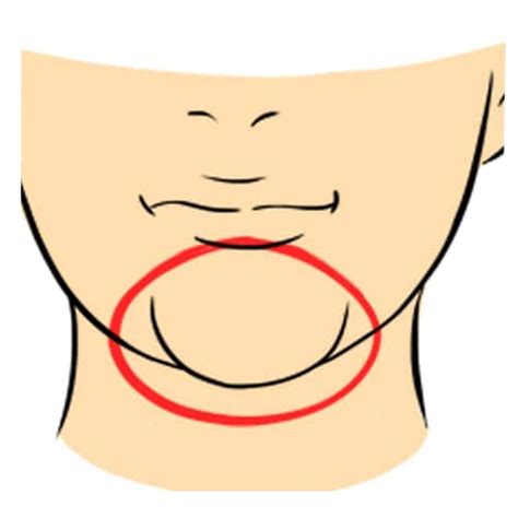 Cosa La Forma Del Mento Rivela Della Nostra Personalit