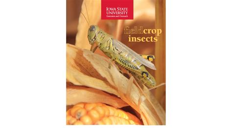 Field Crop Insects Guide Helps With Id Behavior Management Morning Ag Clips