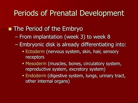 Ppt Prenatal Development And Birth Powerpoint Presentation Free