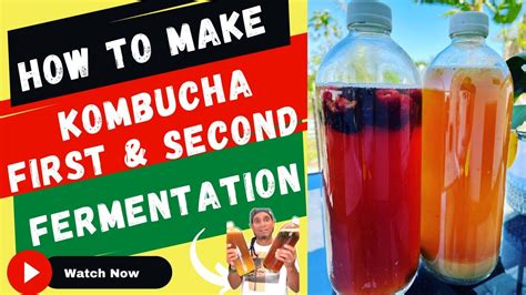 How To Make Kombucha First And Second Fermentation Step By Step Youtube