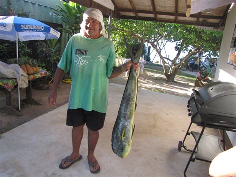 Le mahi mahi doit il être cuit à fond LesRecettes Meilleures