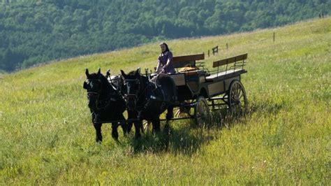 Watch Heartland Walk A Mile S8 E7 TV Shows DIRECTV