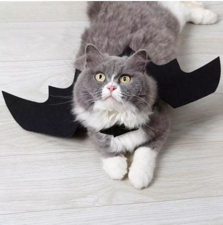 Los Mejores Disfraces De Halloween Para Gatos Wakyma