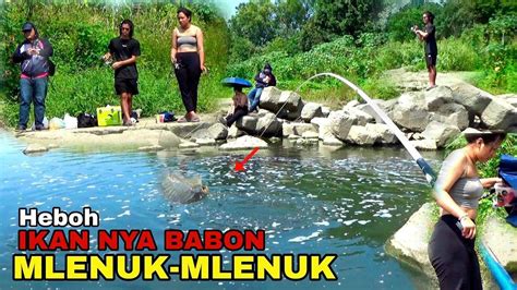 Heboh Mancing Ikan Nila Liar Di Sungai Ke Datangan Artis China