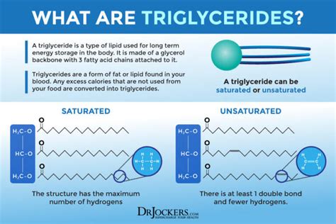 High Triglycerides: Root Causes and Natural Support Strategies