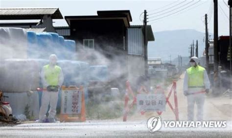 청정 경북 사수 동절기 대비 「가축질병 특별방역대책」 추진