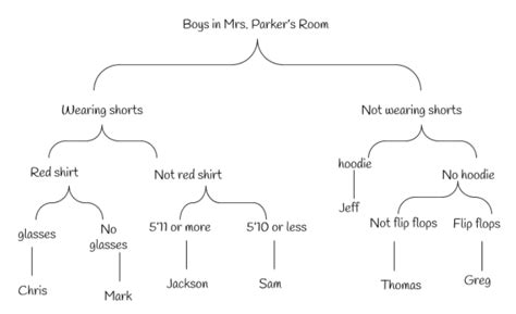 Minibeast Dichotomous Key Worksheet Live Worksheets Worksheets Library