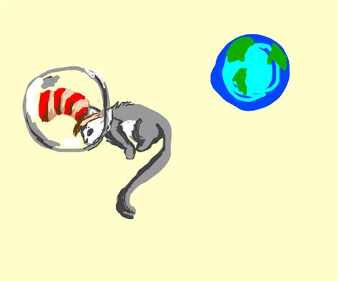 Cat In The Hat Astronaut Drawception