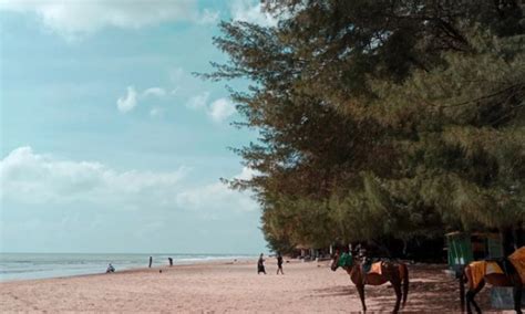 Pantai Lombang Sumenep Destinasi Wisata Keluarga Yang Menakjubkan