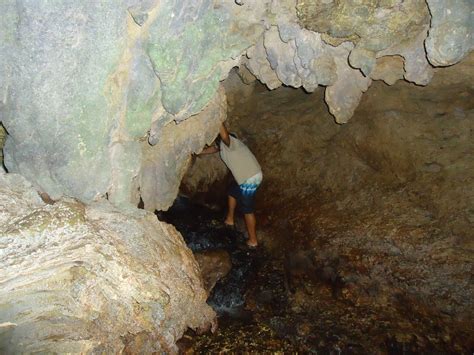 La Vuelta A Puerto Rico En La Silver Van Caminando Por El Bosque Río