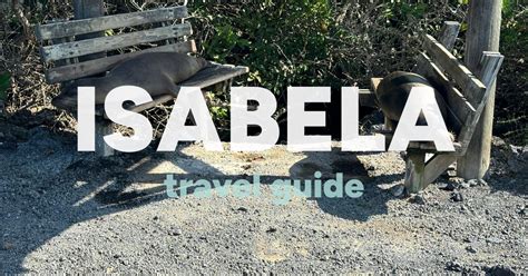 🇪🇨 Isabela Travel Guide 2024 Travelfeed