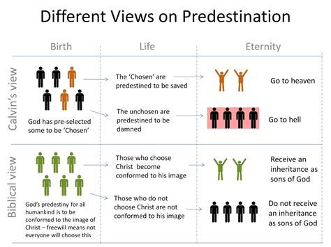 Learn the Flowers: Predestination properly understood