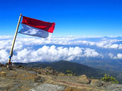 Mentahan Background Bendera Merah Putih Presiden Pictures Myweb