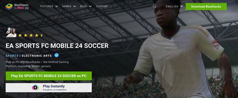 Figure Out If You Can Play The Football Game Fifa On A Pc