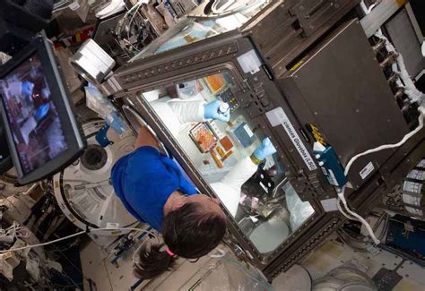 Life Science Investigations Launching To Iss On Spacex Crs Spaceref