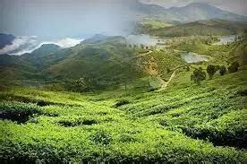 Hill Stations Of Tamil Nadu Explore Getaways Like Ooty Kodaikanal