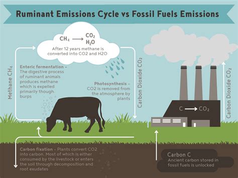 The Truth About Methane Farm Wilder