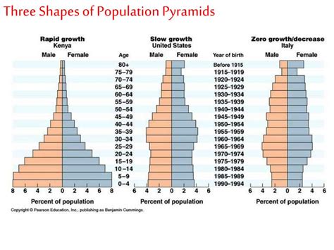 Age Structure Diagram Types Age Structure Diagram Interpreti