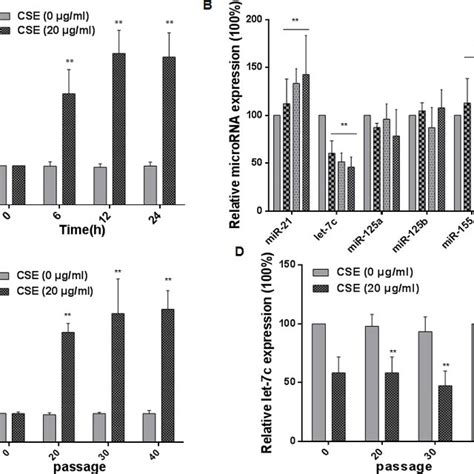 CSE Induces Increases Of CCAT1 Levels And Decreases Of Let 7c Levels In