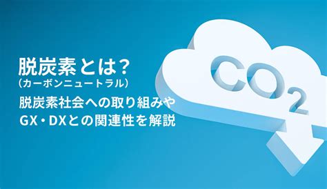 脱炭素（カーボンニュートラル）とは？ 脱炭素社会への取り組みやgx・dxとの関連性を解説 株式会社モンスターラボ