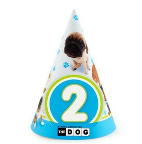 Dog Birthday Hats {The Cutest!} - B. Lovely Events