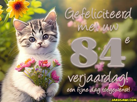 Jakosawi Gratis Wenskaarten E Cards Jaar Gefeliciteerd Kitten