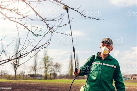 Farmer Spraying Tree With Manual Pesticide Sprayer Against Insects In