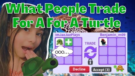 What Is A Turtle Worth In Adopt Me Rich Server Youtube