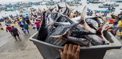 MILLONES DE PERSONAS SUFREN HAMBRE EN AMÉRICA LATINA Y EL CARIBE Origen Noticias