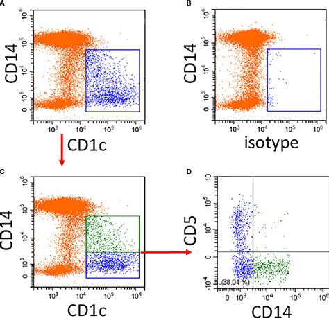 Frontiers Subsets Of Cd1c Dcs Dendritic Cell Versus Monocyte Lineage