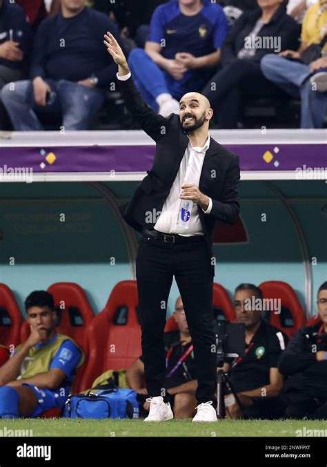 Al Khor Morocco Coach Walid Regragui During The Fifa World Cup Qatar