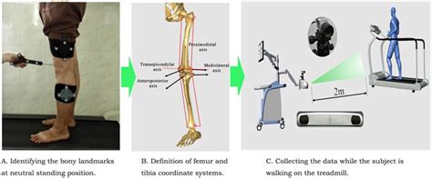 Relationship Between Kellgren Lawrence Score And 3D Kinematic Gait