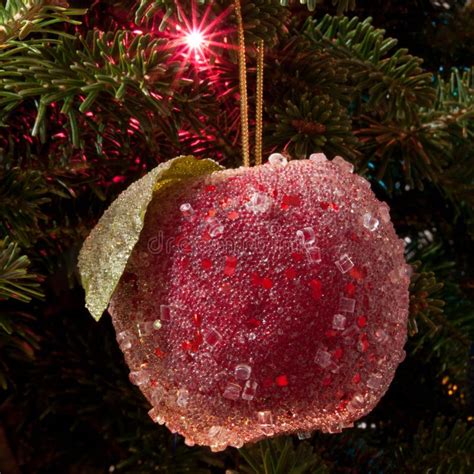 Christmas apple stock photo. Image of decoration, holiday - 28473056