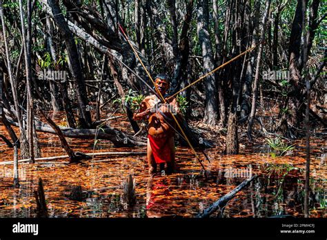 Hombre De La Tribu Yanomami Con Arco Y Flecha En Los Pantanos Sur De