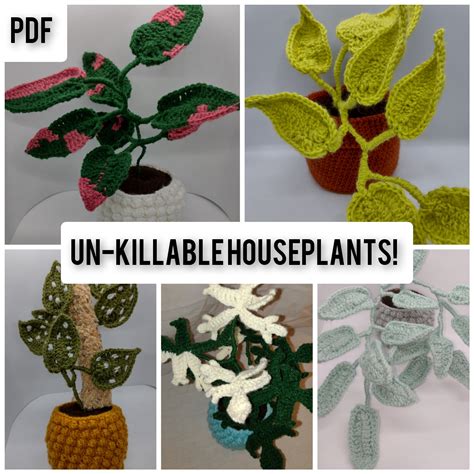 Houseplant Crochet Patterns Philodendron Pothos Etsy