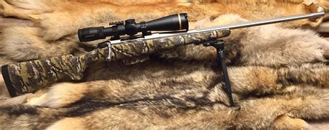 Let’s see your coyote rifle! | Long Range Hunting Forum