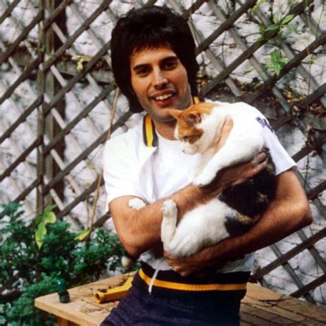 Discover more about Freddie Mercury love for his cats