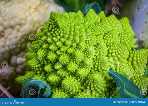 Romanesco Broccoli Close Up The Fractal Vegetable Is Known For It`s