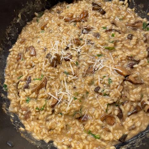 Wild Mushroom Risotto Rmushroommeals